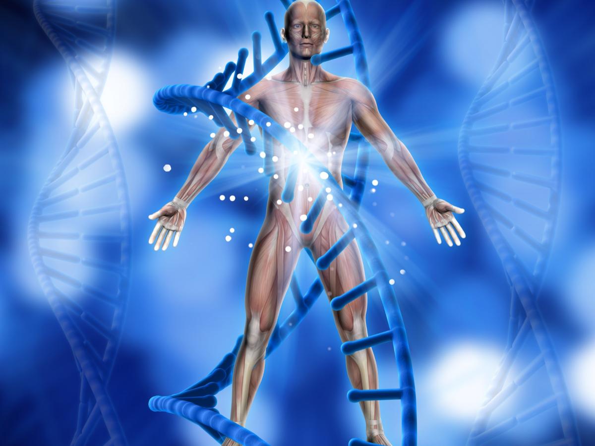 The anatomy of a body with DNA strands wrapping around the figure